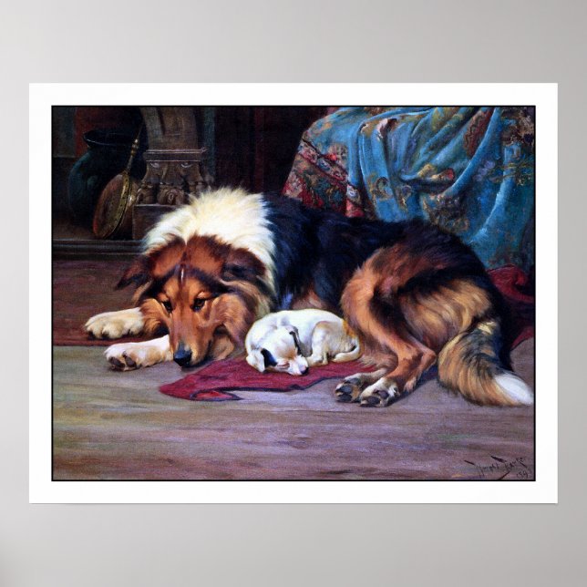 Pôster Orphan Puppy e Collie - por Wright Barker (Frente)