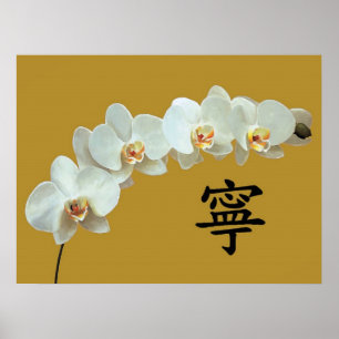 Poster orquídea