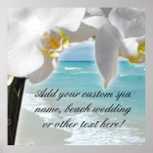 Orquídea Aqua Beach