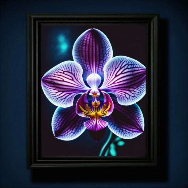 Poster Orquídea Azul (Criador carregado)