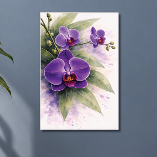 Poster Orquídea Botânica Roxa