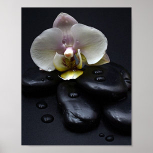 Poster Orquídea Branca em Pedras Negras