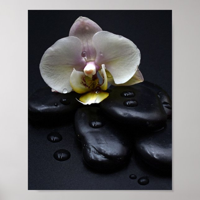 Poster Orquídea Branca em Pedras Negras (Frente)