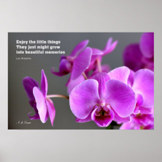 Poster Orquídea da mauve púrpura, citação inspiradora