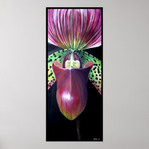 Pôster Orquídea de deslizador de senhora