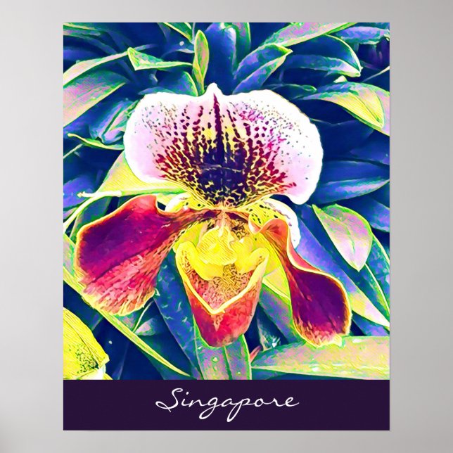 Poster Orquídea de Singapura viagem do Sudeste Asiático (Frente)