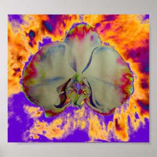 Pôster Orquídea-Fogo, pintura floral abstrato tropical