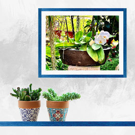 Poster Orquídea-lua branca