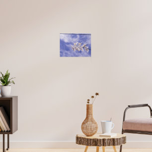 Poster Orquídea Mariposa