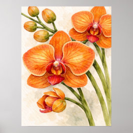 Poster Orquídea Phalaenopsis Laranja Aquarela Botânica