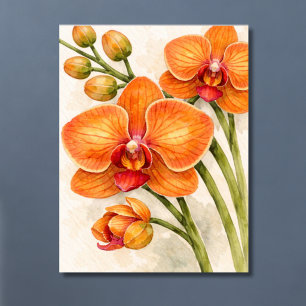 Poster Orquídea Phalaenopsis Laranja Botânica