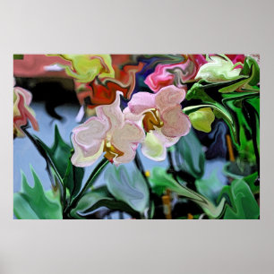 Pôster Orquídeas