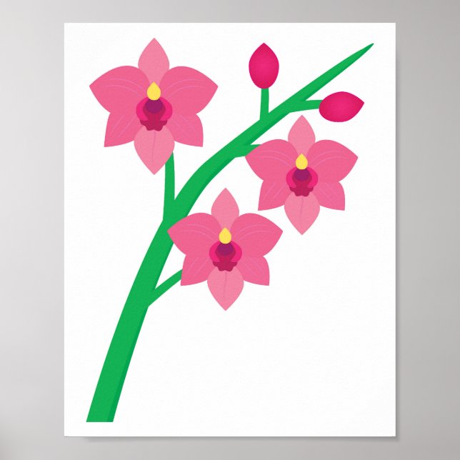 Poster Orquídeas (Frente)