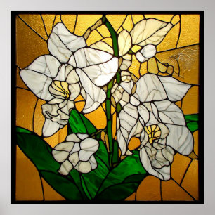 Poster Orquídeas Brancas Elegantes em Vidro Pintado