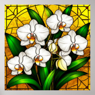 Poster Orquídeas Brancas em Vidro Manchado Elegante