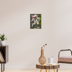 Poster Orquídeas Cymbidium Insigne Rosa