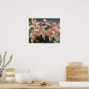 Poster Orquídeas Cymbidium Malhadas Vermelhas Florais