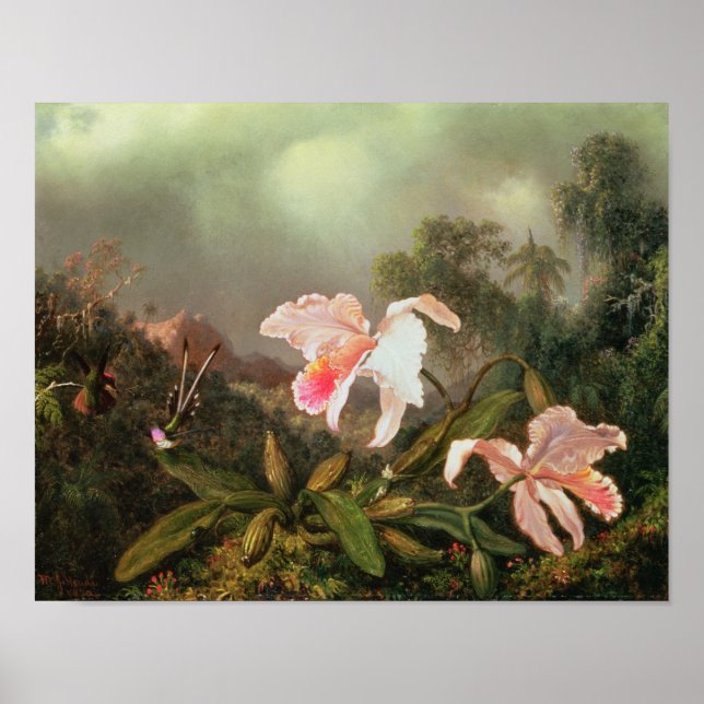 Pôster Orquídeas-da-selva e beija-flores, 1872 (Frente)
