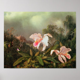 Pôster Orquídeas da selva e colibris, 1872