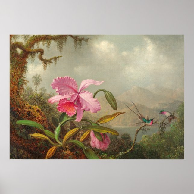 Poster Orquídeas e beija-flor de Martin Johnson Heade P (Frente)
