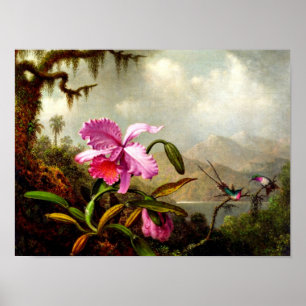 Pôster Orquídeas e Hummingbird perto de um lago de monta