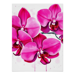 Pôster Orquídeas em magenta e roxa