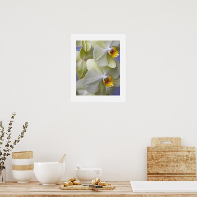 Poster Orquídeas Florais Amarelo Pálido (Cozinha)