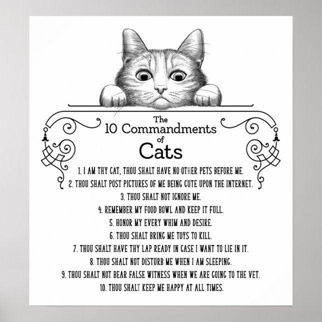 Poster Os 10 Mandamentos de Gatos Engraçados (Frente)