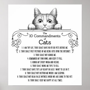 Poster Os 10 mandamentos dos gatos engraçados