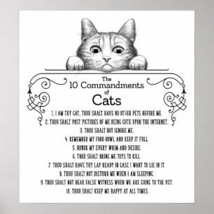 Poster Os 10 mandamentos dos gatos engraçados