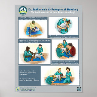 Poster Os 10 Princípios do Dr. Yin para Manipular Cães