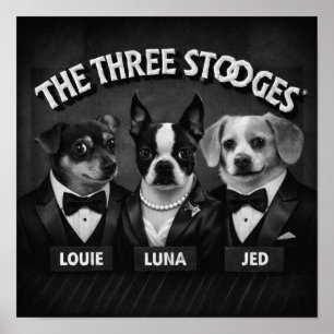 Poster "Os 2 Dooges"