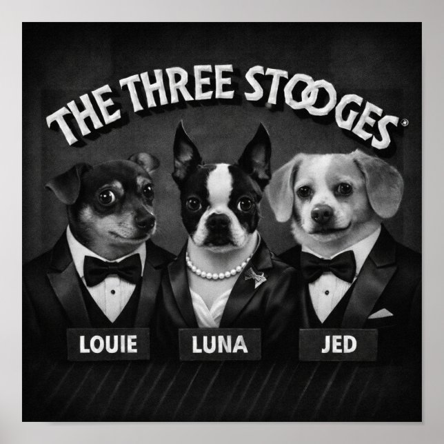 Poster "Os 2 Dooges" (Frente)