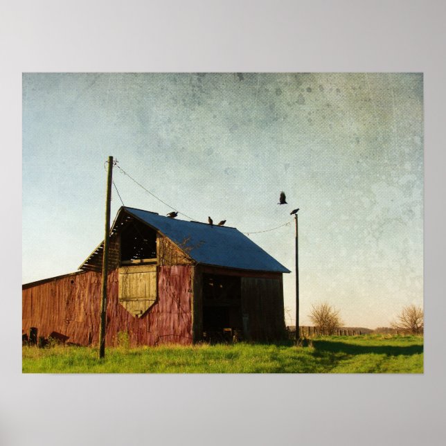 Poster Os Abutres e o Barão (Frente)