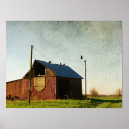 Pôster Os Abutres e o Barão