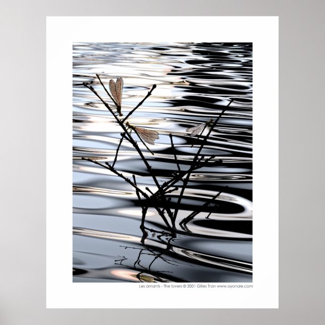 Pôster Os amantes - Les amants (Frente)