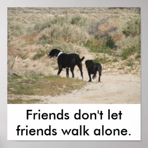 Poster Os amigos não deixam a caminhada dos amigos apena