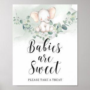 Poster Os bebês são um doce sinal elefante verde eucali