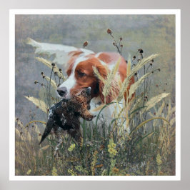 Poster Os Brittany Spaniels , Temporada de Caça a Pássaro