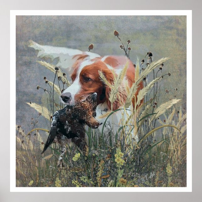 Poster Os Brittany Spaniels , Temporada de Caça a Pássaro (Frente)