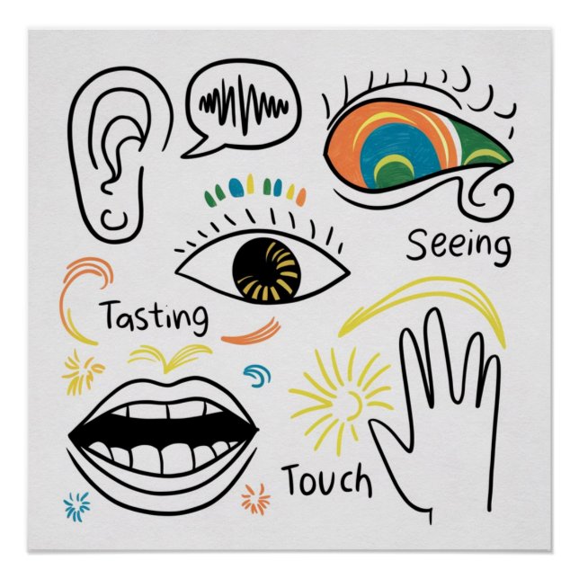 Pôster Os Cinco Sentidos (Frente)