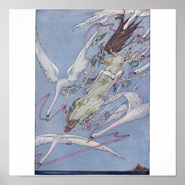 Poster Os Cisnes Selvagens (Frente)