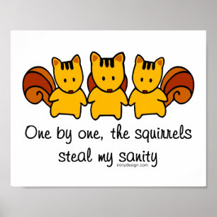 Pôster Os esquilos roubam minha sanidade