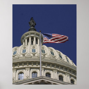 Pôster Os Estados Unidos Capitólio, Washington, C.C.
