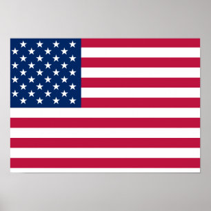 Pôster Os Estados Unidos da América