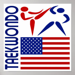 Pôster Os Estados Unidos de Taekwondo
