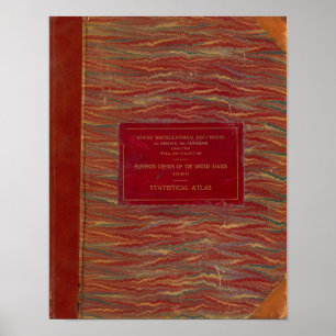 Poster Os Estados Unidos estatísticos do atlas