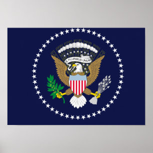 Pôster Os Estados Unidos presidenciais