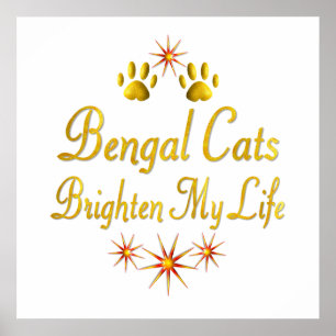 Pôster Os gatos de Bengal iluminam minha vida