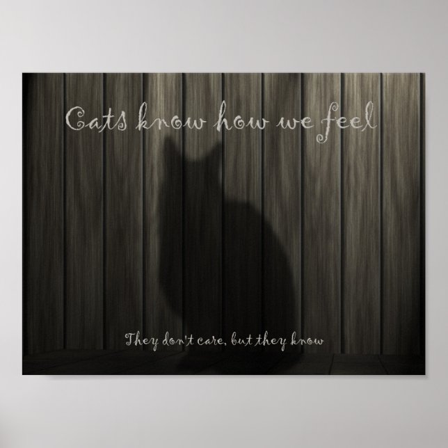 Pôster Os gatos sabem como nos sentimos (Frente)